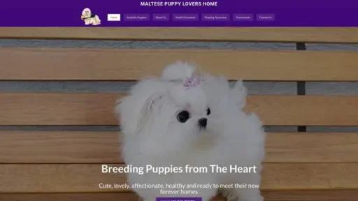 Screenshot of