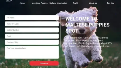 Screenshot of