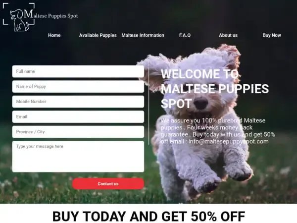 Screenshot of