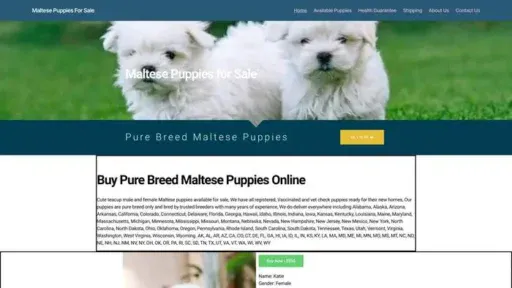 Screenshot of
