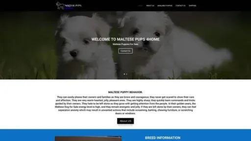 Screenshot of