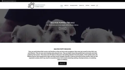 Screenshot of