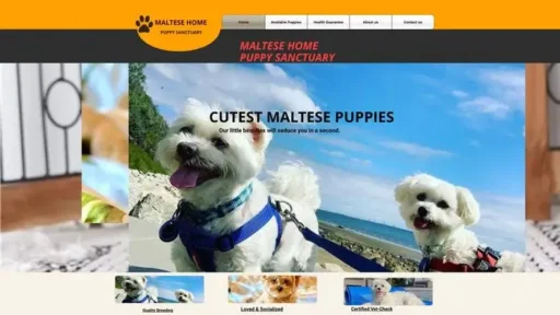 Screenshot of