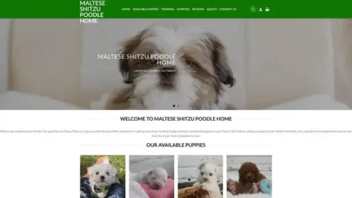 Screenshot of