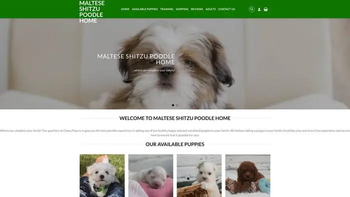 Screenshot of