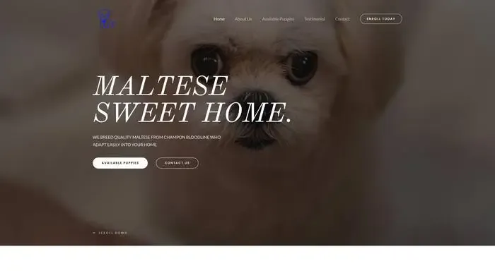 Screenshot of