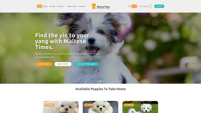 Screenshot of