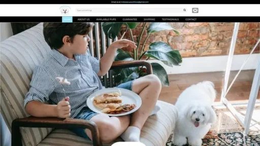Screenshot of