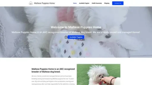 Screenshot of