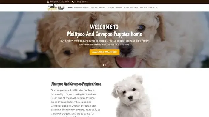 Screenshot of