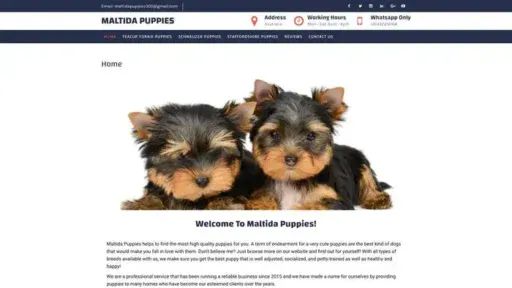Screenshot of