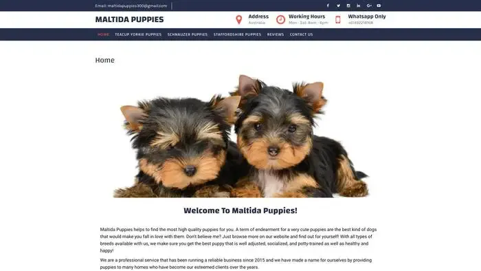 Screenshot of