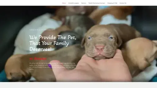 Screenshot of