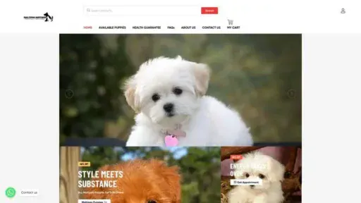 Screenshot of