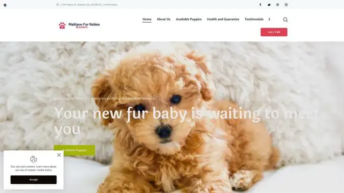 Screenshot of