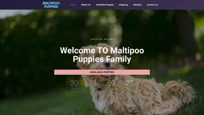 Screenshot of
