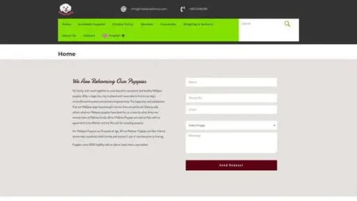 Screenshot of
