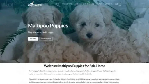 Screenshot of