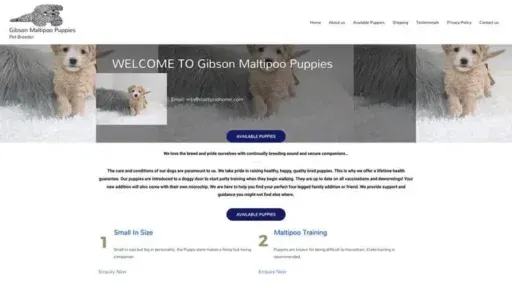 Screenshot of