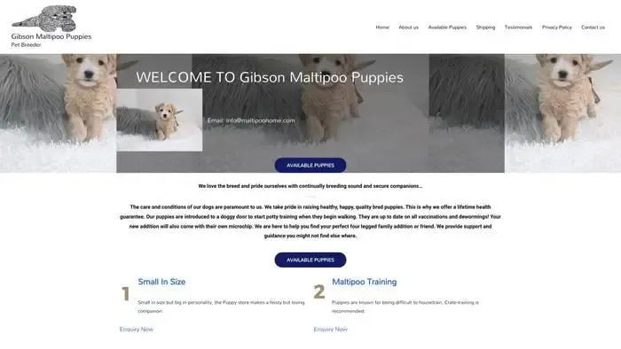 Screenshot of