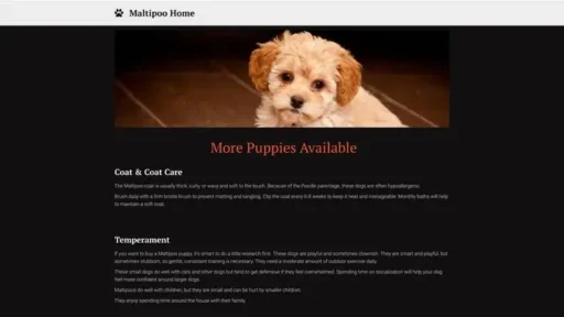 Screenshot of