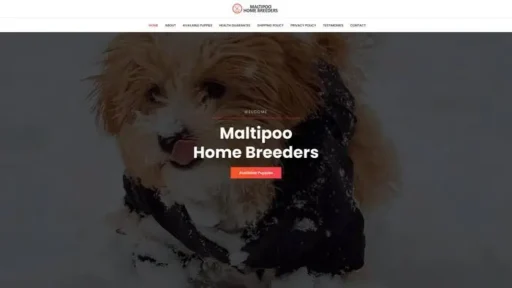 Screenshot of
