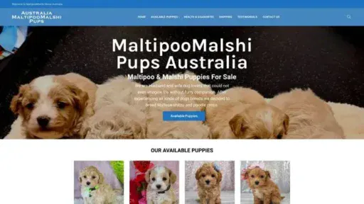Screenshot of
