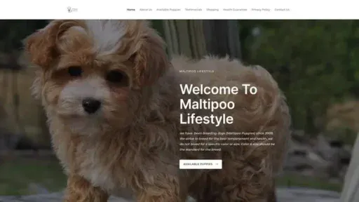 Screenshot of