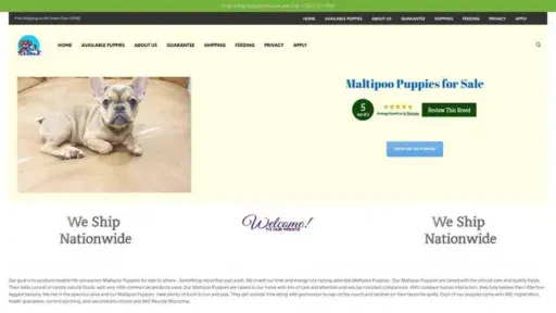 Screenshot of