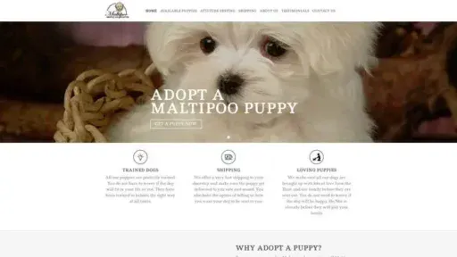 Screenshot of