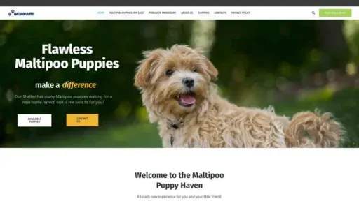Screenshot of