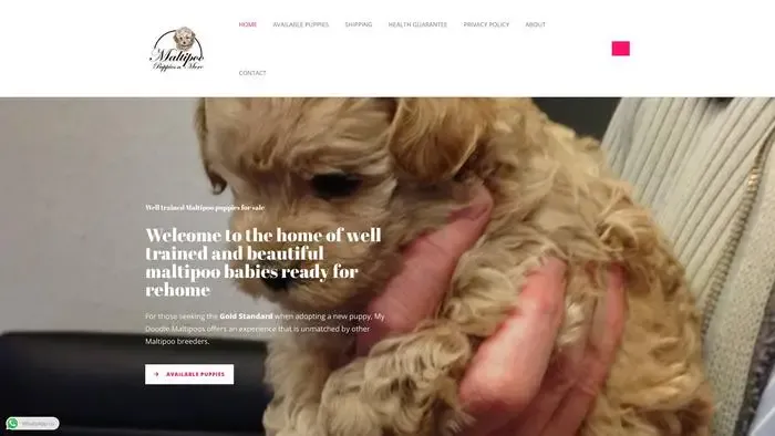 Screenshot of