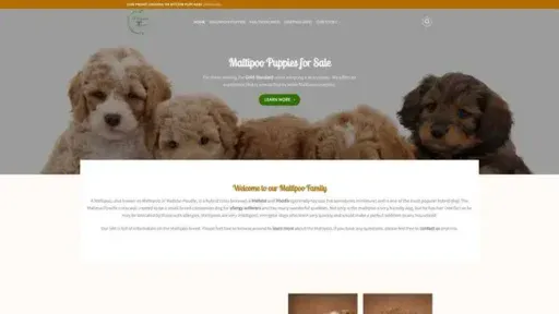 Screenshot of