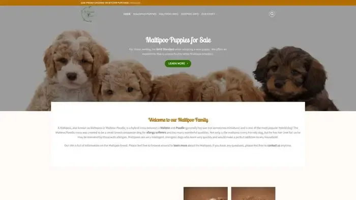 Screenshot of