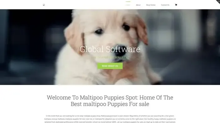 Screenshot of