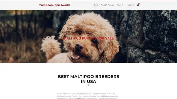 Screenshot of