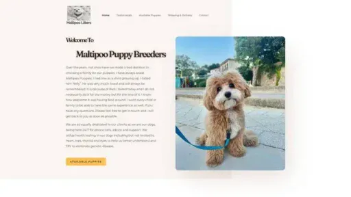 Screenshot of
