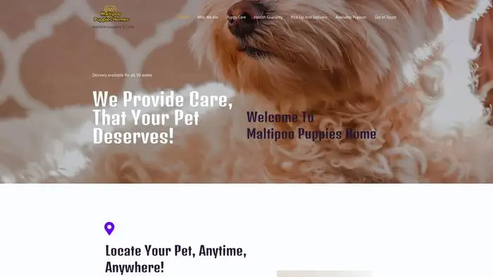 Screenshot of