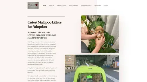 Screenshot of