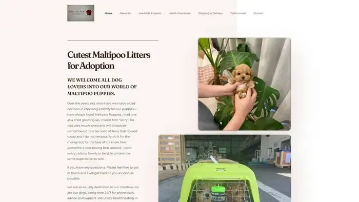 Screenshot of