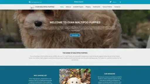 Screenshot of
