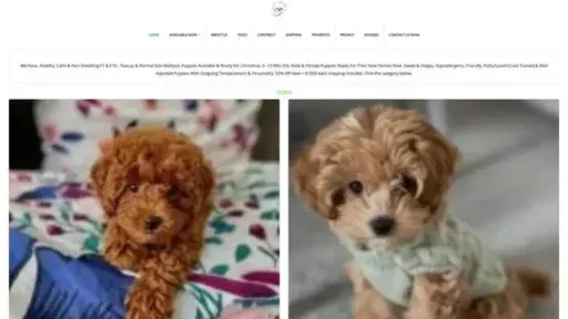Screenshot of