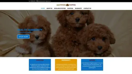 Screenshot of