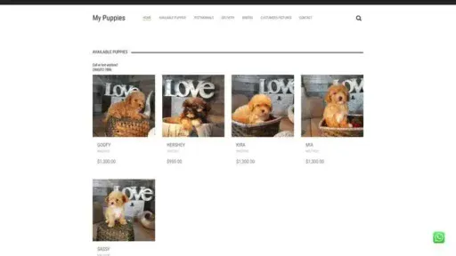 Screenshot of