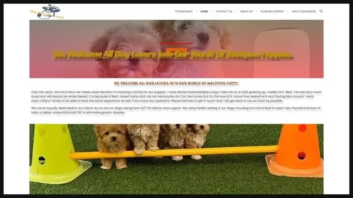 Screenshot of||
