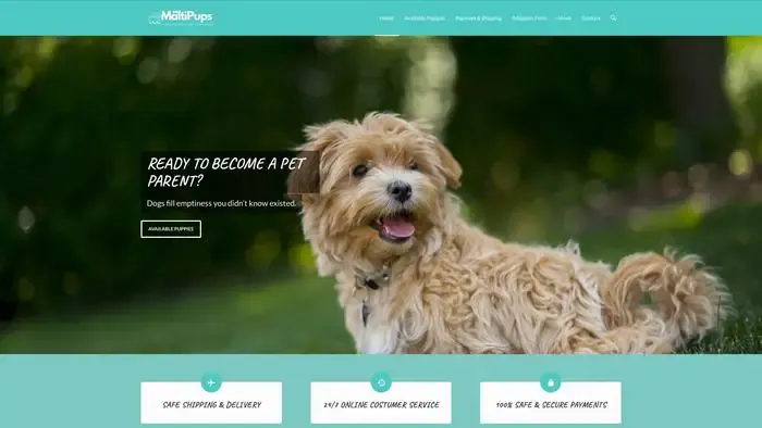 Screenshot of