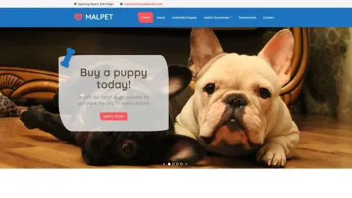 Screenshot of