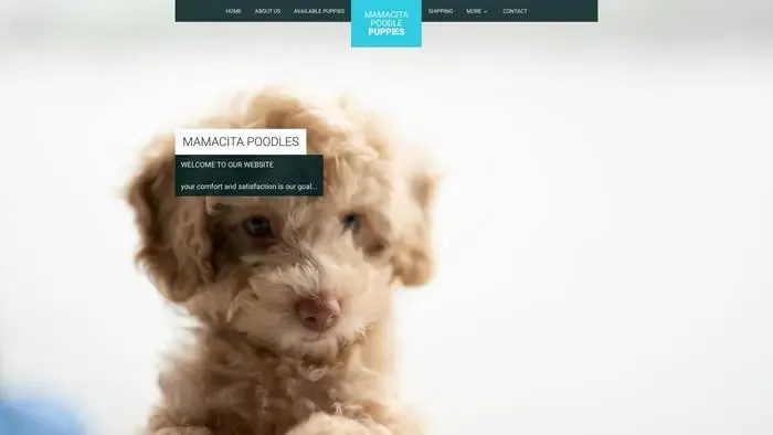 Screenshot of