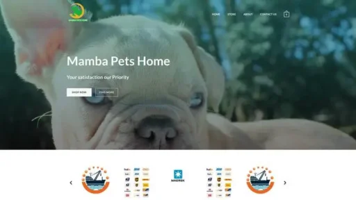 Screenshot of