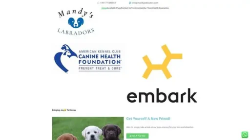 Screenshot of